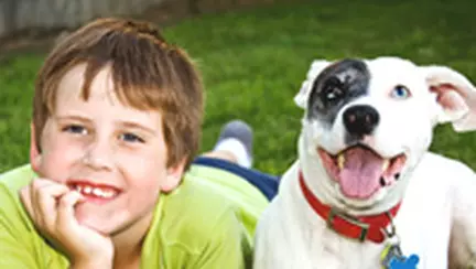 Animalele de companie: ii luam unul sau nu?