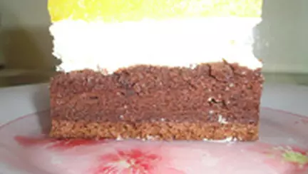 Prajitura cu branza de vaci