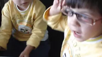 Gemenele la serviciu