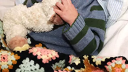 Iarna se numara bronsitele