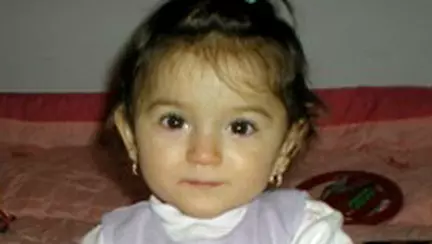 Papam tot ca sa gasim elefantelul