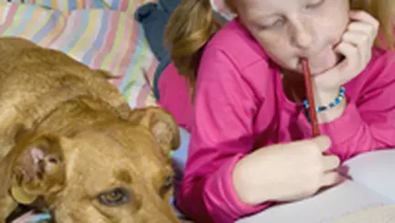 Temele pentru acasa, o corvoada?