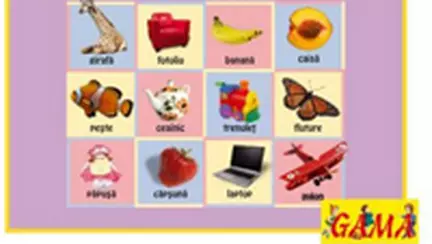 Primele 100 de cuvinte (carte)