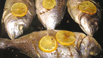 Peste la cuptor cu sos de lamaie si coriandru