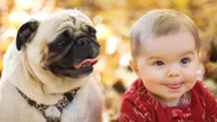 "Gelozia" animalului de casa