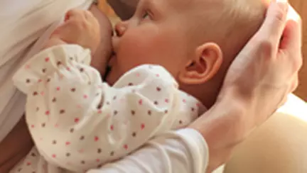 Alaptatul: date tehnice