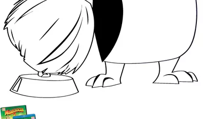 Madagascar - pinguin