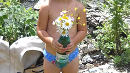 Purecii, bata-i vina!