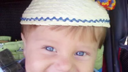 Comunicam prin atingeri si mangaieri