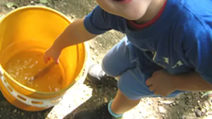 Gradinita - un mister nedeslusit inca