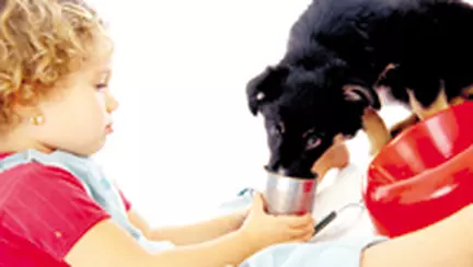 Invata-i sa iubeasca animalele