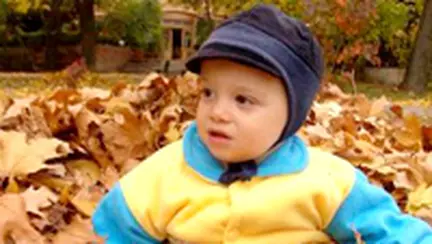 Povestile, o lume imaginara a copilariei