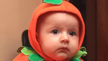 Povestea Iepurasului de catifea