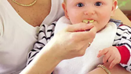 Meniul din primul an