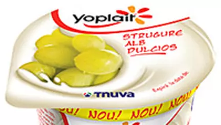 Iaurt Yoplait Strugure Alb, Tnuva