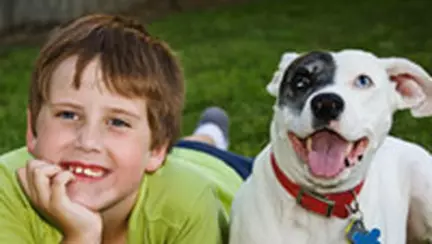 Vreau si eu un animalut!