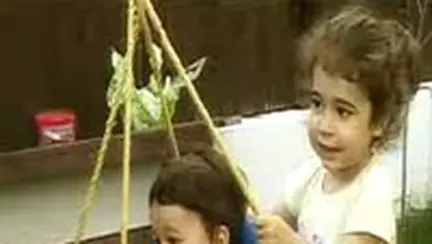 Importanta celulelor stem