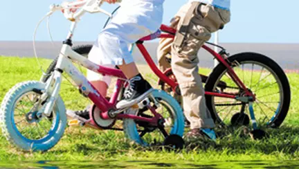 Rivalitatea dintre frati