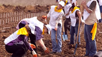 Toamna se numara copacii, in Tara lui Andrei