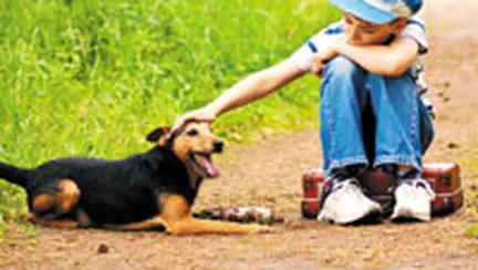 Identifica emotiile, controleaza-le siâ€¦ exprima-le corect