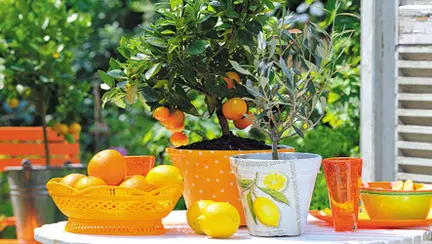 8 beneficii intr-o portocala