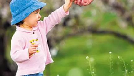 Drepturile parintilor