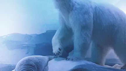 Muzeul National de Istorie Naturala "Grigore Antipa" isi redeschide portile.