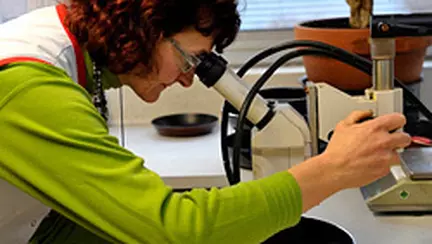 Gateste sanatos cu Tefal