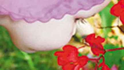 Copilul meu vrea sa aiba tot ce vede