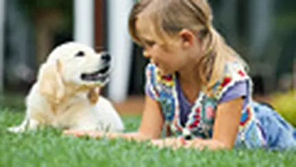 Animalul de companie - prietenul cel mai bun al copilului tau