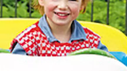 Disciplina - reguli de aur