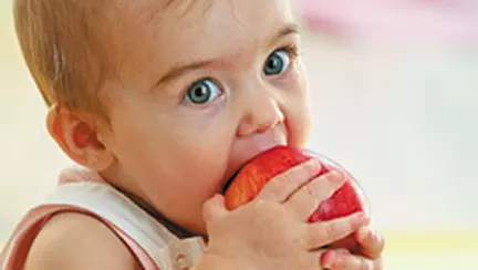 Hrana solida - asa da, asa nu