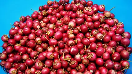 Gustare cu ovaz si fructe