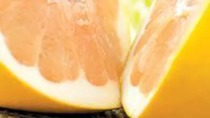 O mai buna imunitate