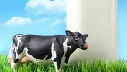 Laptele, sursa importanta de substante nutritive pentru tine si copilul tau