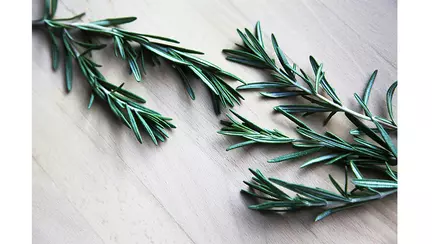 Rozmarinul, planta care luptă împotriva tumorilor