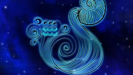 Compatibilitate Vărsător. Care sunt zodiile potrivite cu acești nativi din horoscop