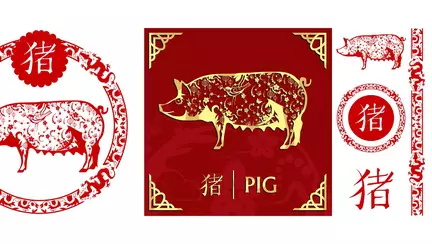 Zodiacul Chinezesc 2023: Porcul