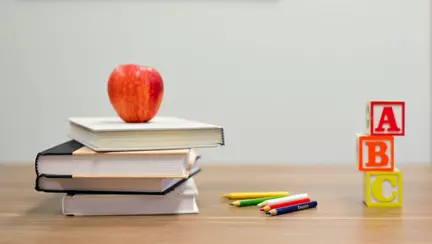 Index salarial – Cât câștigă angajații din sistemul privat de învățământ: între 3.000 și 4.500 de lei pentru o educatoare și până la 9.000 de lei pentru un profesor de ciclu gimnazial sau liceal