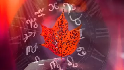 Horoscopul lunii noiembrie 2025. Luna renașterii interioare și a viselor împlinite
