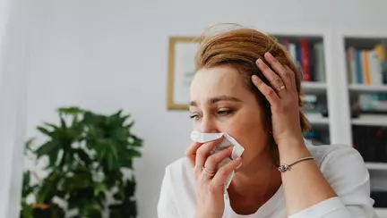 Atenție! Cea mai iubită floare a sezonului este și cea mai toxică. Atacă grav inima!
