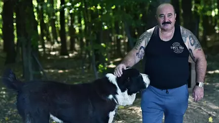 Cum arată vila lui Nuțu Cămătaru, din Ferentari. Imagini cu proprietatea unde cresc canguri, cămile și cai de competiție