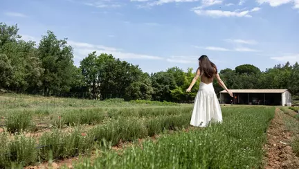 Drumul rozmarinului din câmp până la raft. Reportaj din Provence, locul în care începe povestea produselor pentru păr de la Weleda