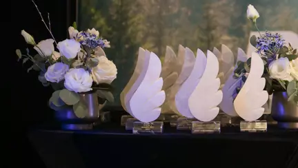 Gala BrandRO 2026. Care sunt cele mai puternice branduri românești