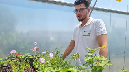 Liceul din provincie unde elevii cultivă ceapă, salată și castraveți folosind drone și tehnologie integrată. Director: „Agricultura digitalizată ne-a crescut rata de promovare a Bacalaureatului'