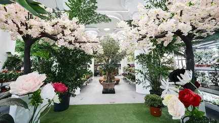 Mall-ul de plante din București are cinci niveluri cu peste 1.200 de soiuri, ghivece inteligente și un mesteacăn artificial care costă cât un apartament