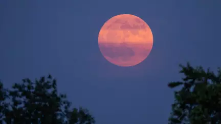 Luna Căpșună se pregătește să răsară. Data și ora la care trebuie să privești cerul