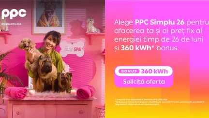 Preț fix la energie pentru afacerile mici, pe o perioadă de 26 de luni