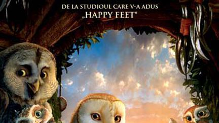 Movies Archive Avantaje Ro De 20 De Ani Pretuieste Femei Ca Tine