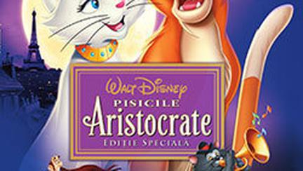 Movies Archive Avantaje Ro De 20 De Ani Pretuieste Femei Ca Tine